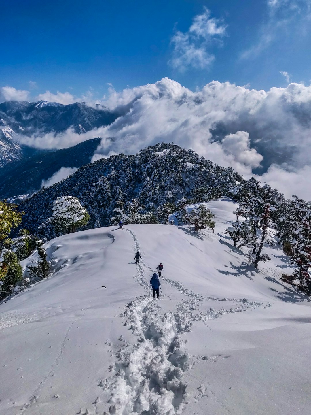 Darjeeling & Sikkim Hills