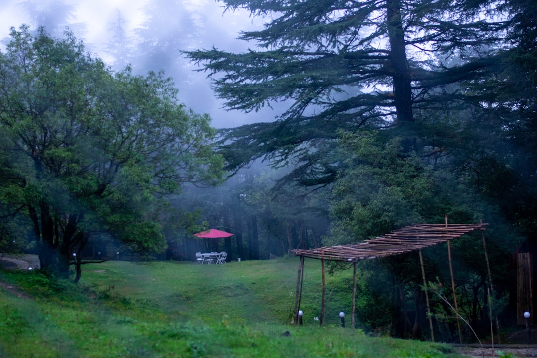 Nainital – Corbett – Mussoorie Classic