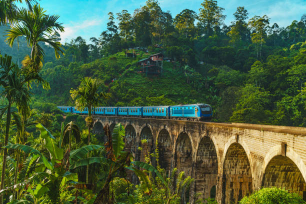 4 Night - 5 Days Sri Lanka Tour Package