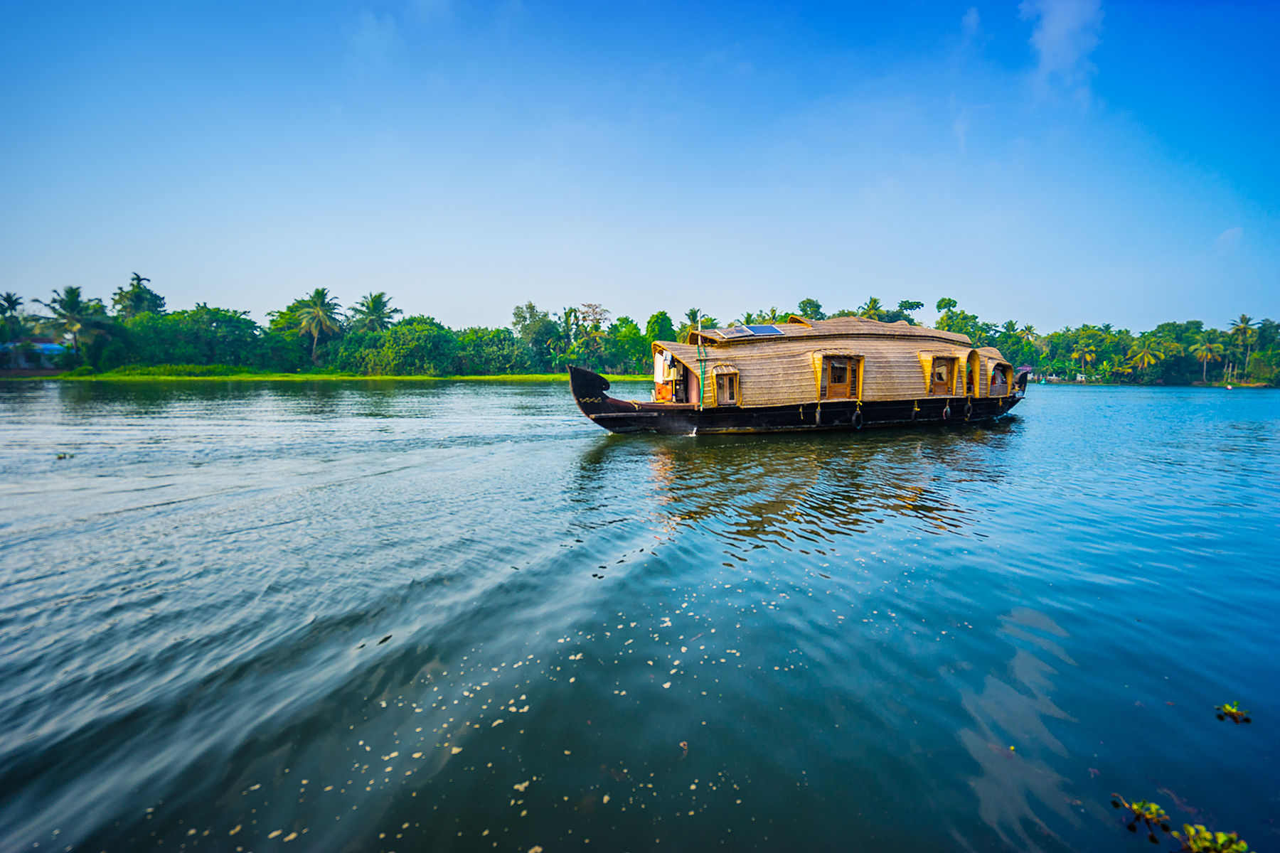 Kerala backwaters and tropical landscapes