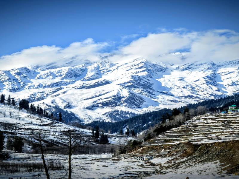 Manali volvo package — photo 4