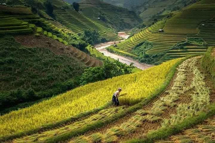 Nagaland & Hornbill Festival – 7N/8D