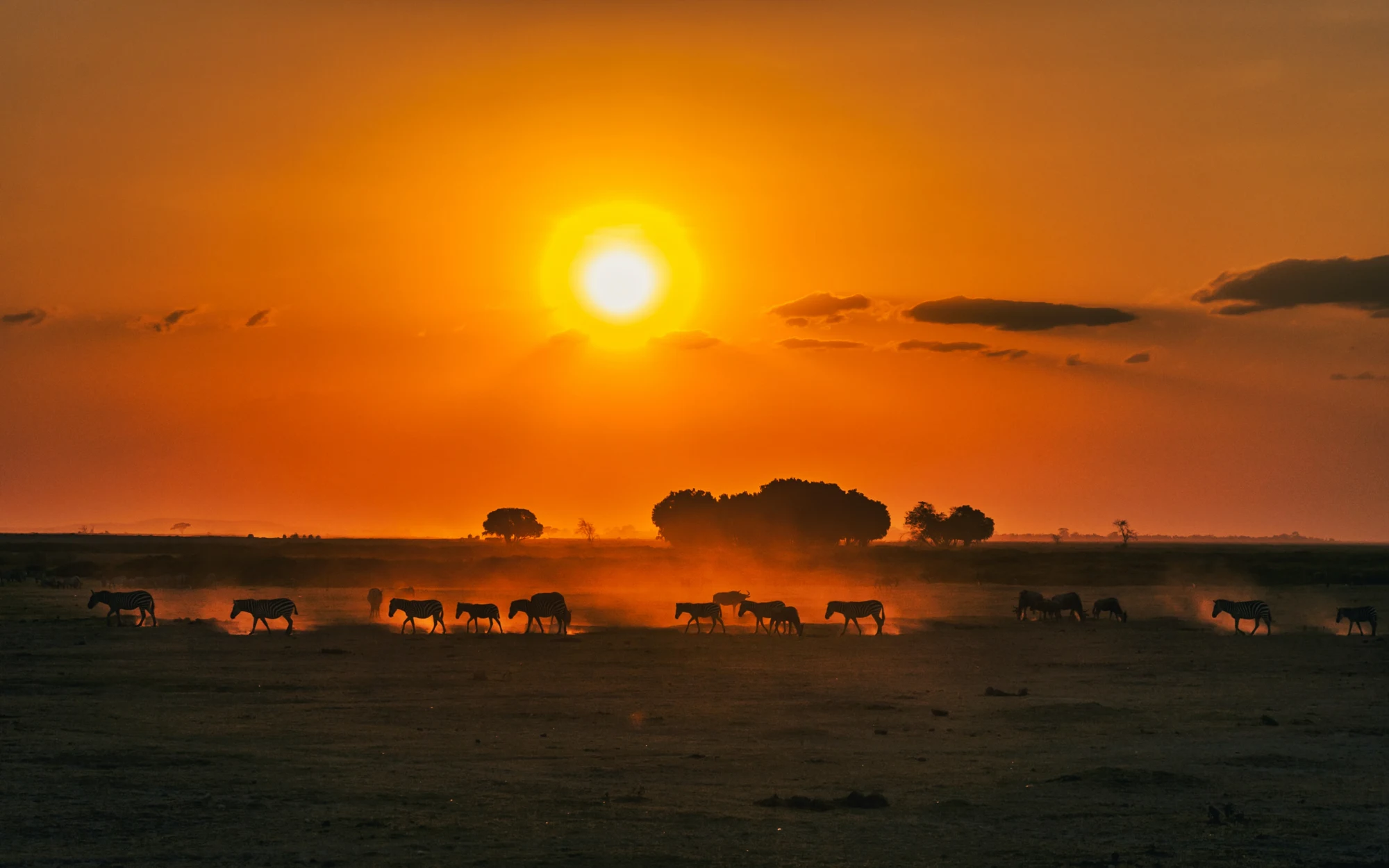 Kenya Express Safari – 5N/6D